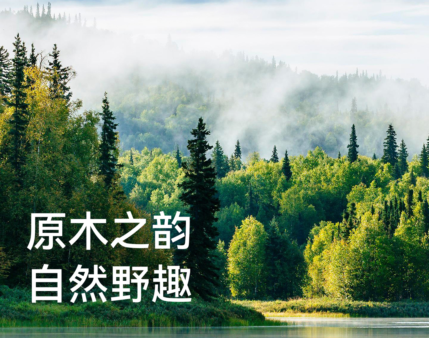 東方云木｜“木”與生活美學(xué)的深情對(duì)話(huà)