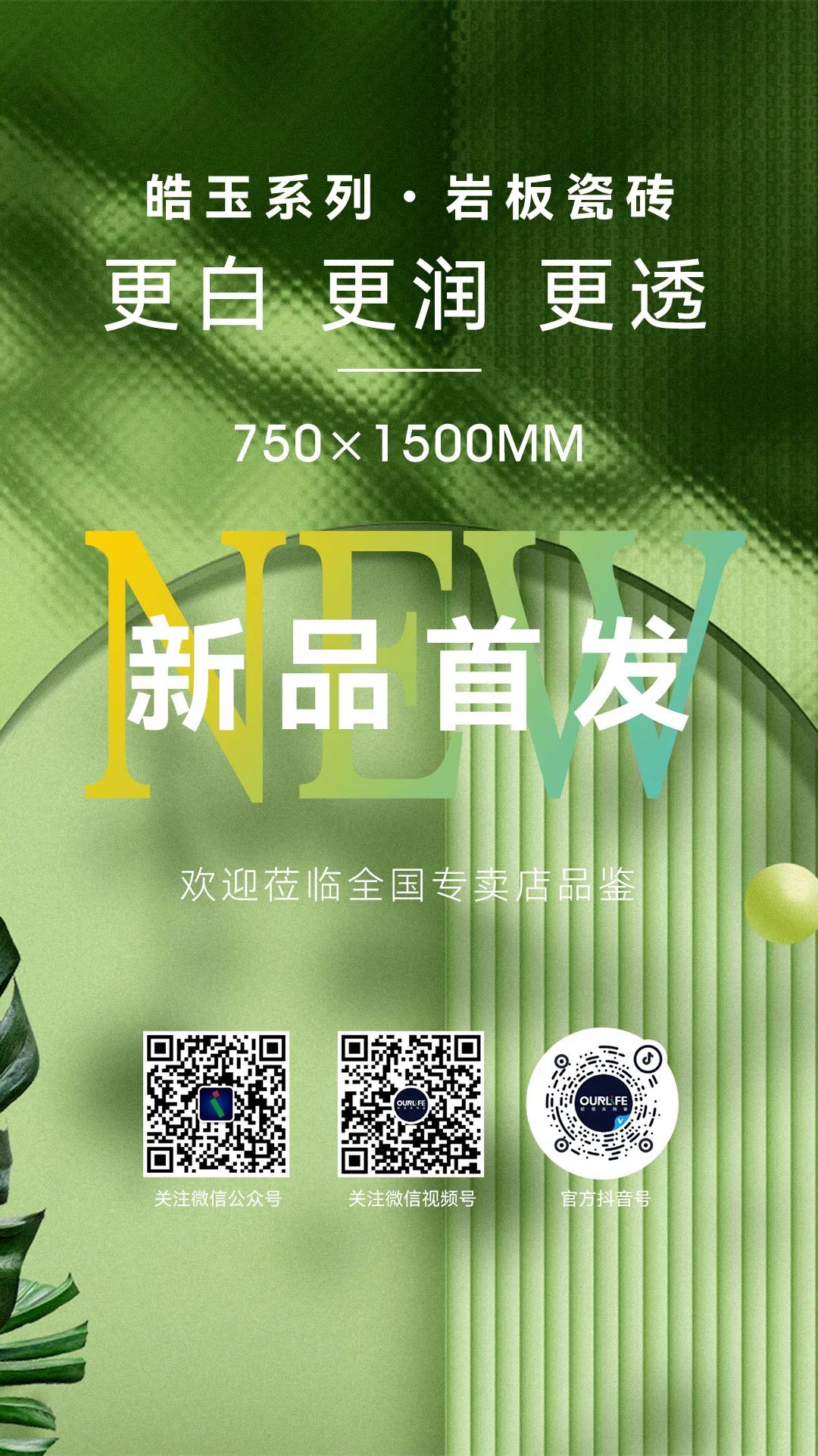 1704704205911692.jpg 17.jpg